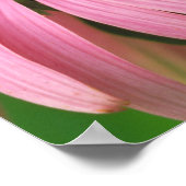 Poster Papillon de l'amiral rouge (Coin)