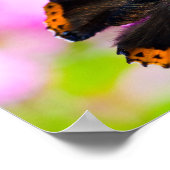 Poster Papillon de l'amiral rouge sur l'affiche de fleurs (Coin)