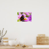 Poster Papillon de l'amiral rouge sur l'affiche de fleurs (Cuisine)