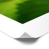 Poster Papillon de l'amiral rouge sur une tournesol (Coin)