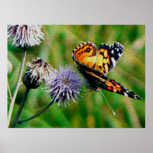 Poster Papillon de monarque