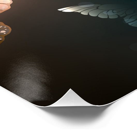 Poster Papillon de nuit (Coin)