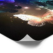 Poster Papillon de nuit (Coin)
