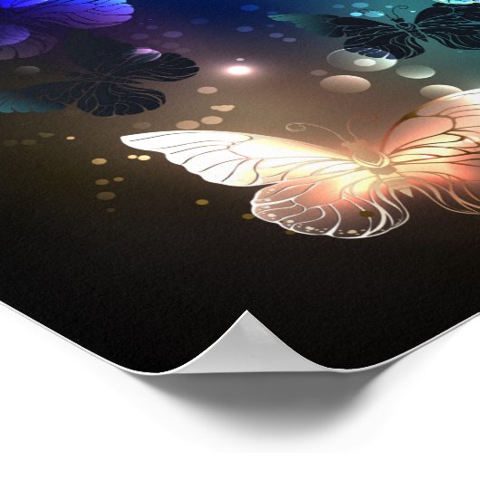 Poster Papillon de nuit (Coin)