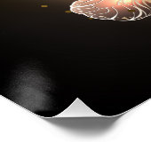 Poster Papillon de nuit (Coin)