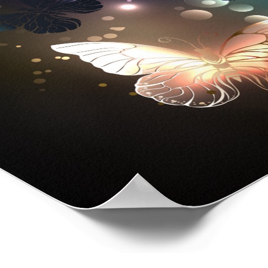 Poster Papillon de nuit (Coin)