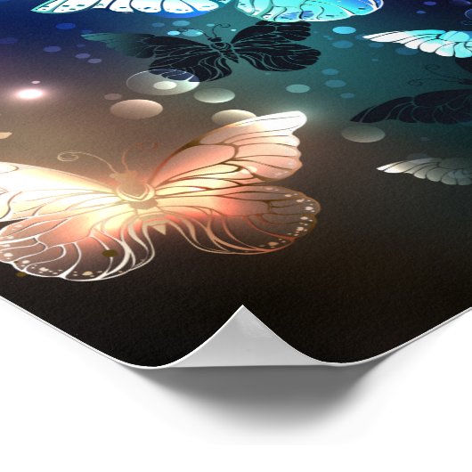 Poster Papillon de nuit (Coin)