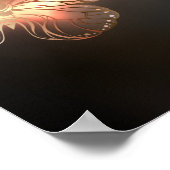 Poster Papillon de nuit (Coin)