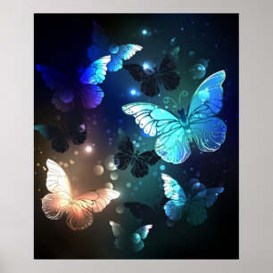 Poster Papillon de nuit