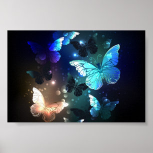 Poster Papillon de nuit