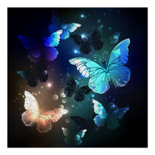 Poster Papillon de nuit