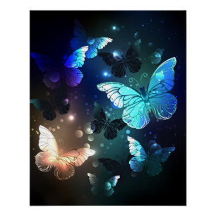 Poster Papillon de nuit