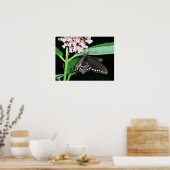 Poster Papillon de nuit noir à Shenandoah (Cuisine)