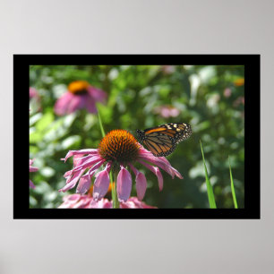 Poster Papillon de parc de Como de lac