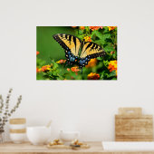 Poster Papillon de queue de tigre (Cuisine)