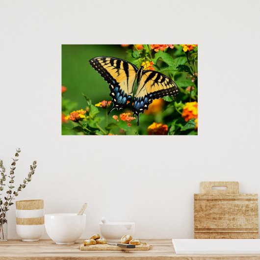 Poster Papillon de queue de tigre (Cuisine)