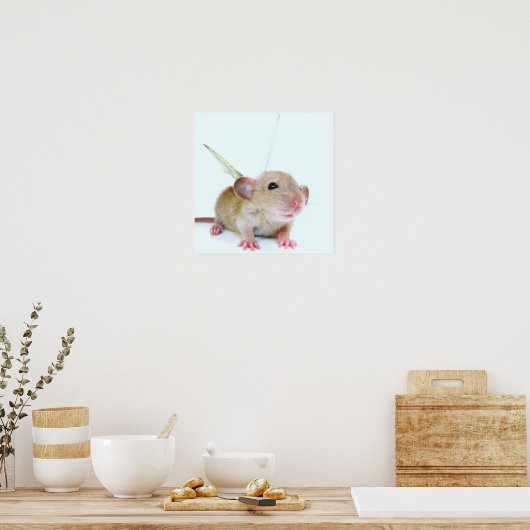 Poster Papillon de rat de bébé (Cuisine)