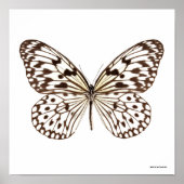 Poster Papillon de Tigre de châtaignes (Devant)