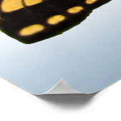 Poster Papillon d'épaisse du tigre oriental (Coin)