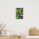 Poster Papillon des yeux des oiseaux (Cuisine)
