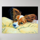 Poster Papillon Dog Wall Print (Devant)