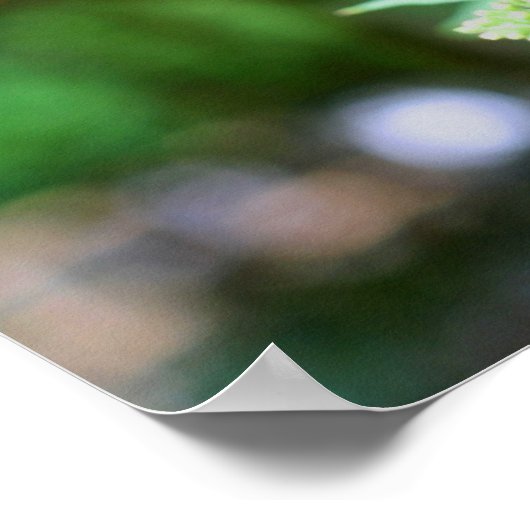 Poster Papillon Dreamy Sur La Nature Fleur (Coin)