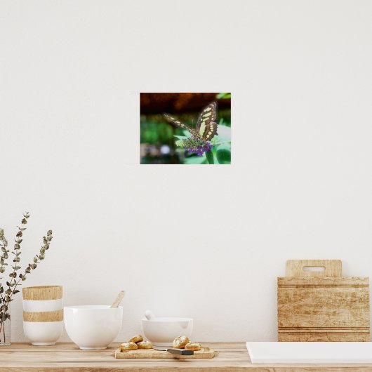 Poster Papillon Dreamy Sur La Nature Fleur (Cuisine)