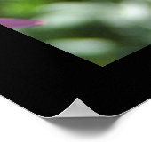 Poster Papillon du parc du lac de Côme (Coin)