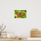 Poster Papillon en bois moucheté (Cuisine)