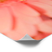 Poster Papillon en deuil (Coin)