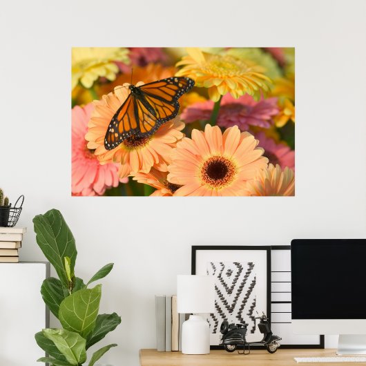 Poster Papillon en deuil (Bureau à domicile)