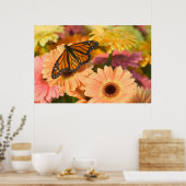 Poster Papillon en deuil (Cuisine)