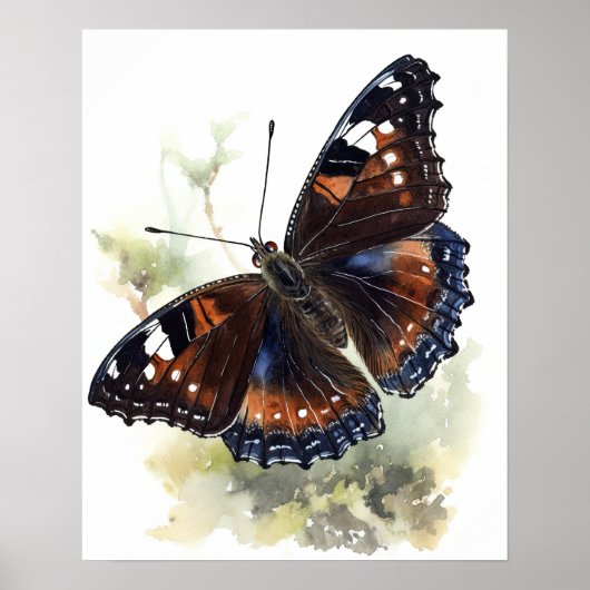 Poster Papillon en deuil Art Imprimer l'affiche (Devant)