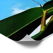 Poster Papillon et ciel (Coin)