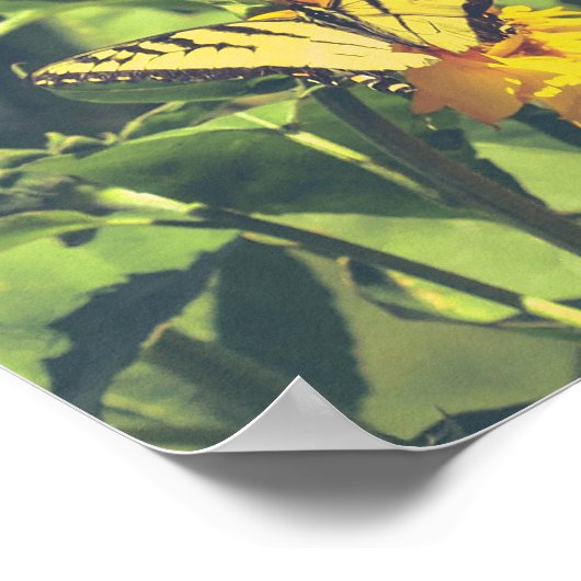 Poster Papillon et fleurs jaunes (Coin)