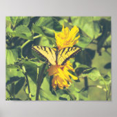 Poster Papillon et fleurs jaunes (Devant)