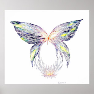 Poster Papillon et lotus