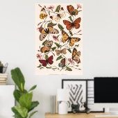 Poster Papillon et papillon de Paul Gervais (Bureau à domicile)