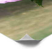 Poster Papillon et Rose de Sharon (Coin)