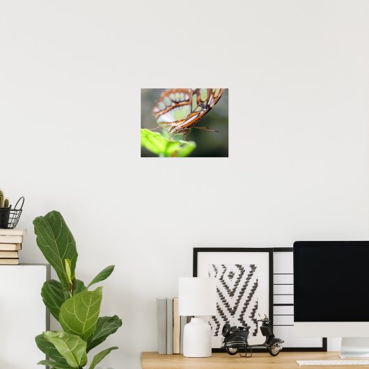 Poster Papillon face haut (Bureau à domicile)