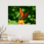 Poster Papillon fritillaire du Golfe (Cuisine)