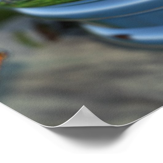 Poster Papillon Globe (Coin)