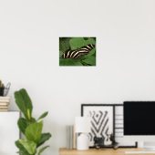 Poster Papillon Héliconius Charithonia (Bureau à domicile)