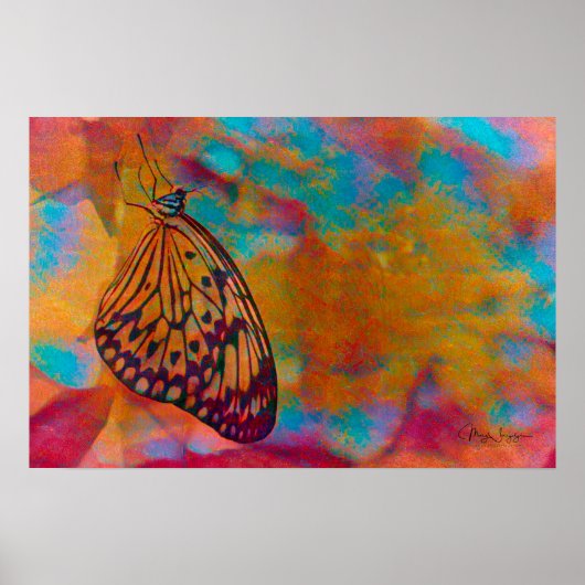 Poster Papillon Hippie Orange Bleu Bohème (Devant)