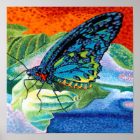 Papillon II