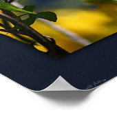 Poster Papillon - Imprimer - 24x20 - ou plus petit (Coin)