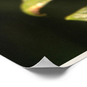 Poster Papillon jaune (Coin)