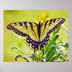 Poster Papillon jaune - Art photographique Imprimer