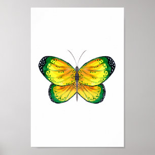 Poster Papillon jaune et vert