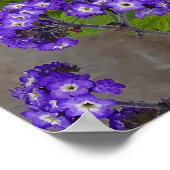 Poster Papillon jaune sur les fleurs violettes Imprimer (Coin)